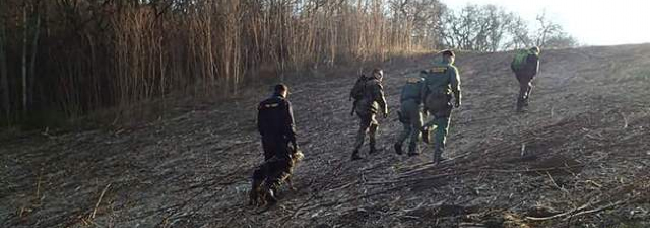 20150323-foto3522n-vojenska-policie-pri-patraci-akci.jpg