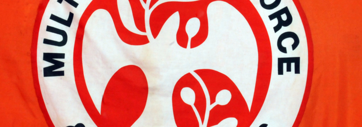 mfo-flag1.jpg