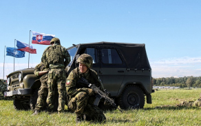 dnynato_2017_089_2.jpg