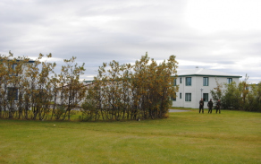 dsc_0027jpg.jpg