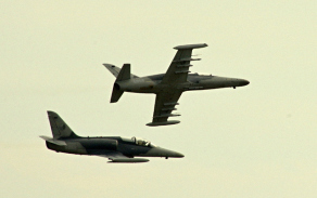dvojice-bitevniku-l-159-alca.jpg