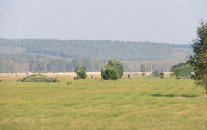 img_4414.jpg
