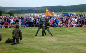 p1130543.jpg