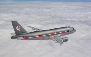 a_319_cj_019.jpg